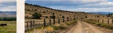 Fence line and rural access road